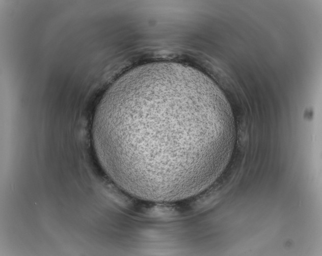 X0000090770270200708172114