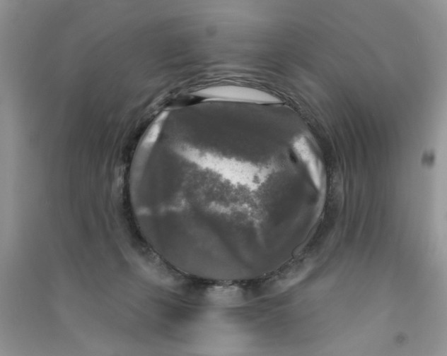 X0000090770271200708172114