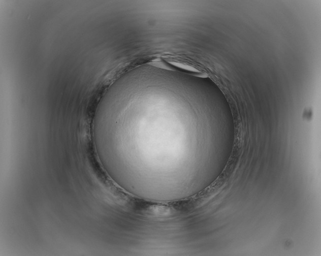 X0000090770272200708172114