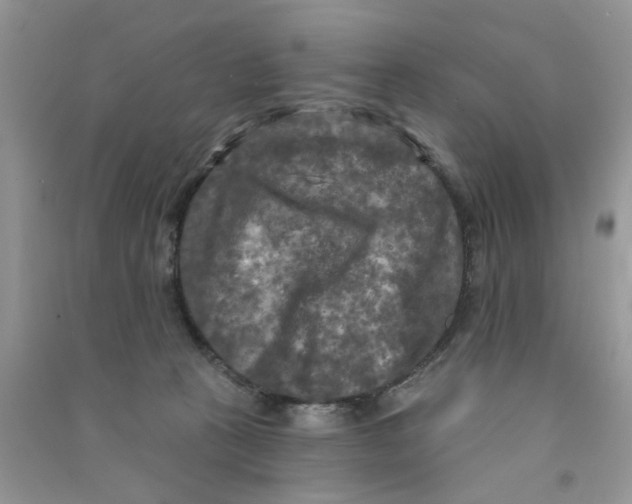 X0000090770273200708172114