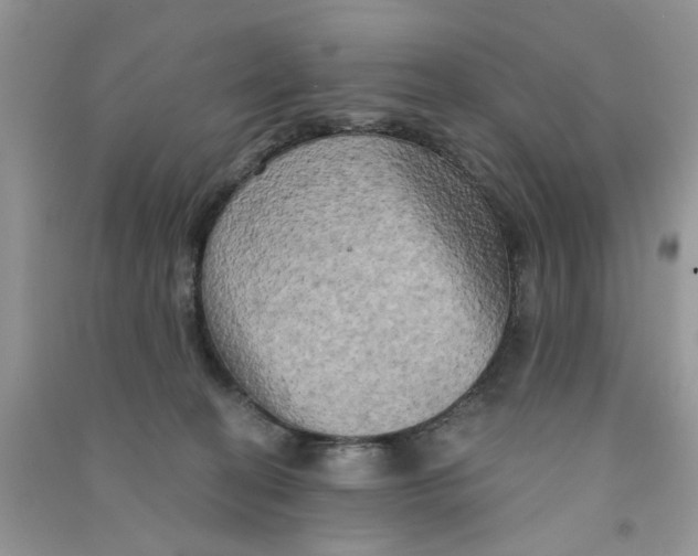 X0000090770274200708172114