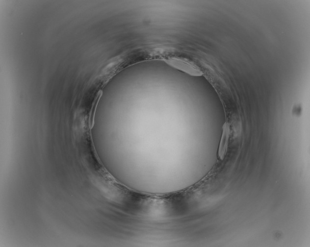 X0000090770276200708172114