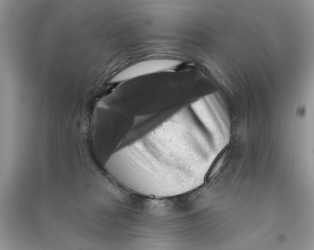 X0000090770277200708172114