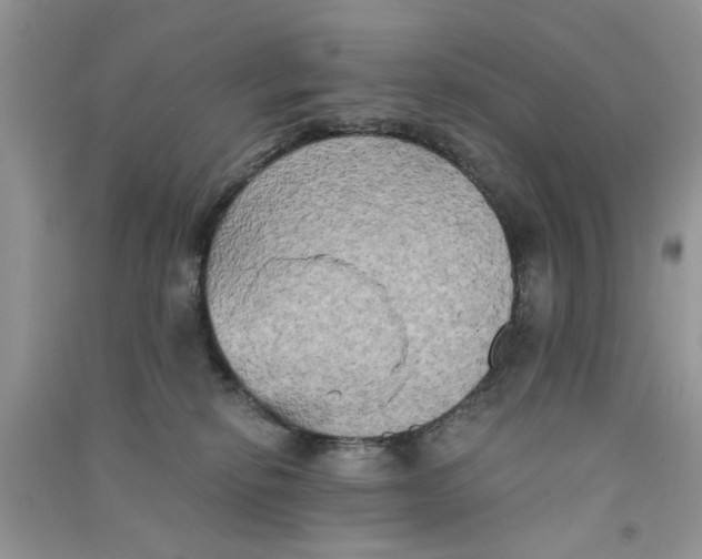 X0000090770278200708172114