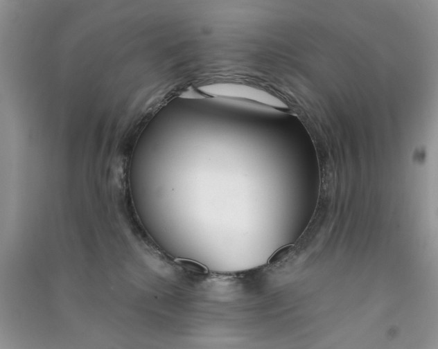 X0000090770280200708172114