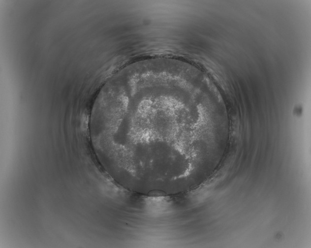 X0000090770281200708172114