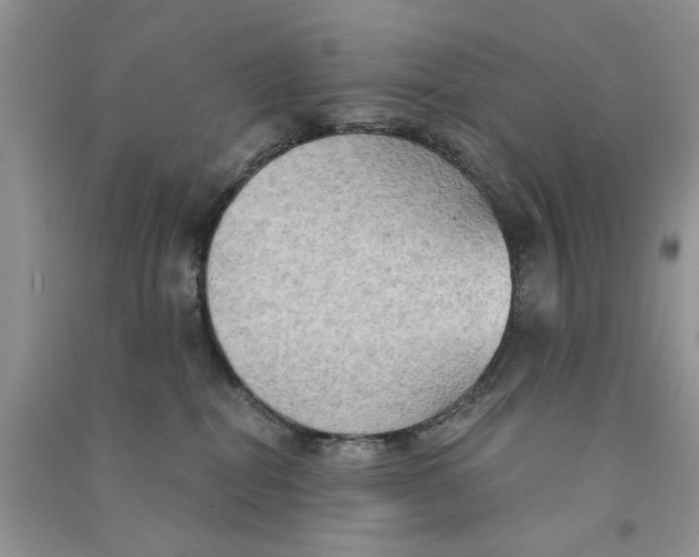 X0000090770282200708172114