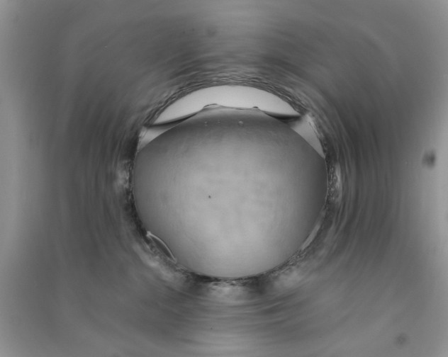X0000090770284200708172114