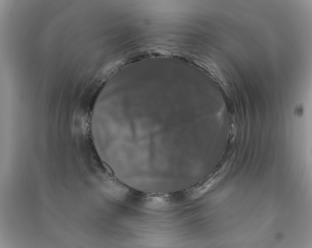 X0000090770285200708172114