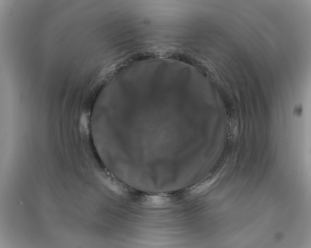 X0000090770286200708172114