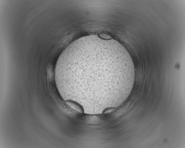 X0000090770287200708172114