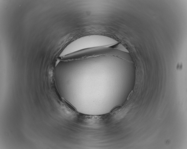 X0000090770288200708172114