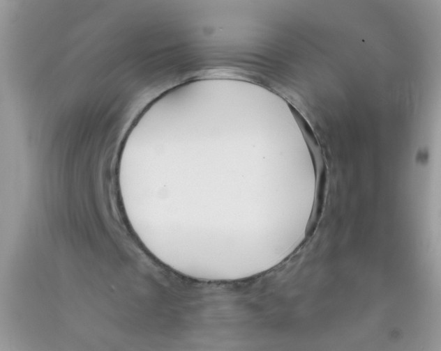 X0000090770289200708172113