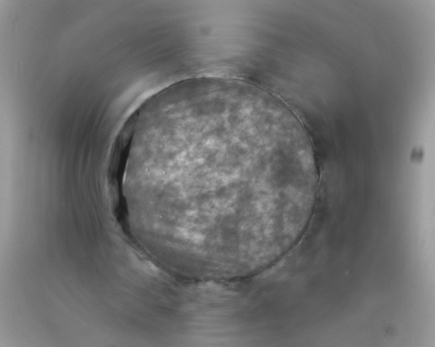 X0000090770290200708172113