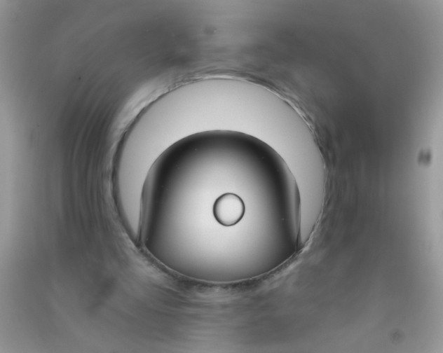 X0000090770293200708172113