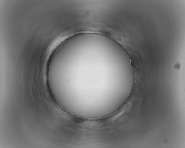 X0000090770294200708172113