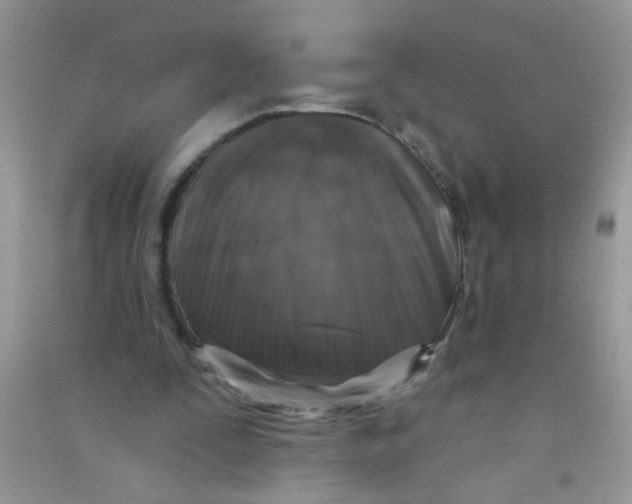 X0000090770295200708172113