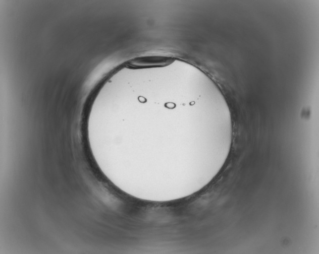 X0000090770296200708172113