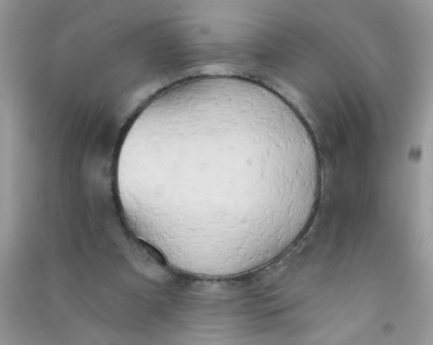X0000090770297200708172113