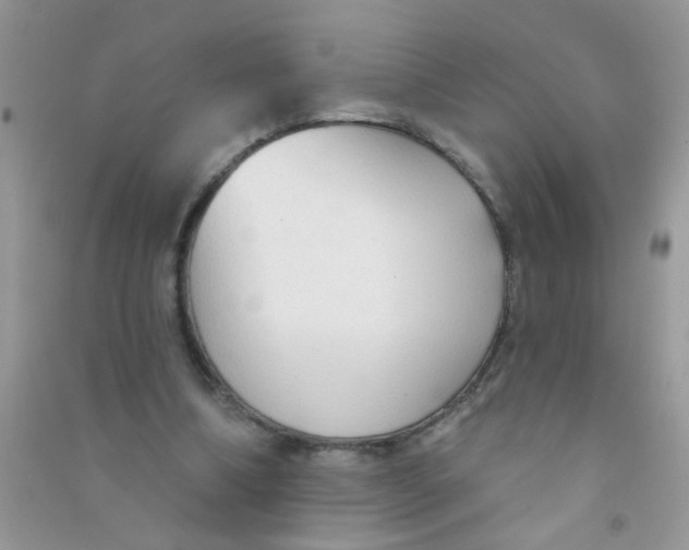 X0000090770298200708172113