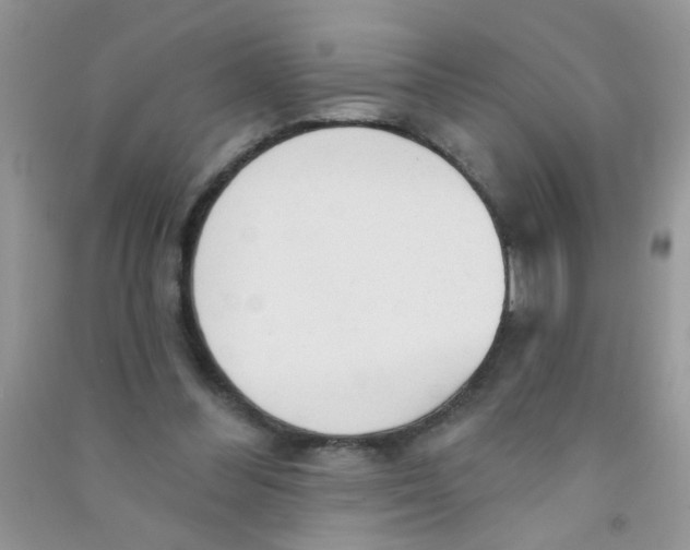 X0000090770300200708172113