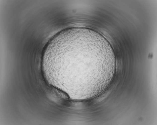 X0000090770301200708172113