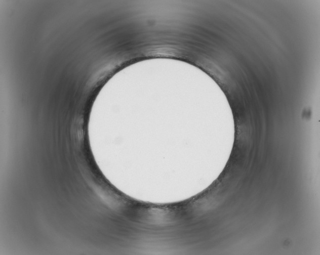 X0000090770302200708172113
