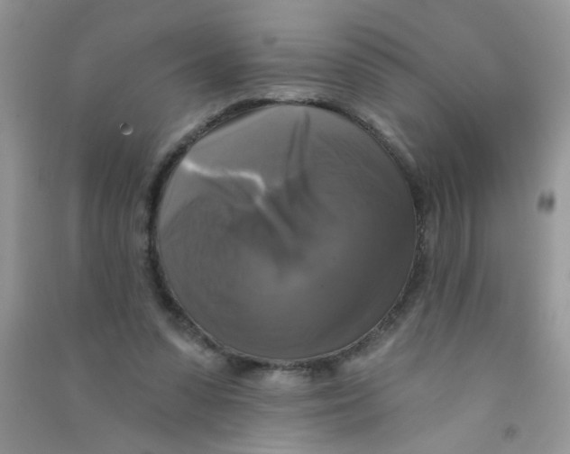X0000090770303200708172113