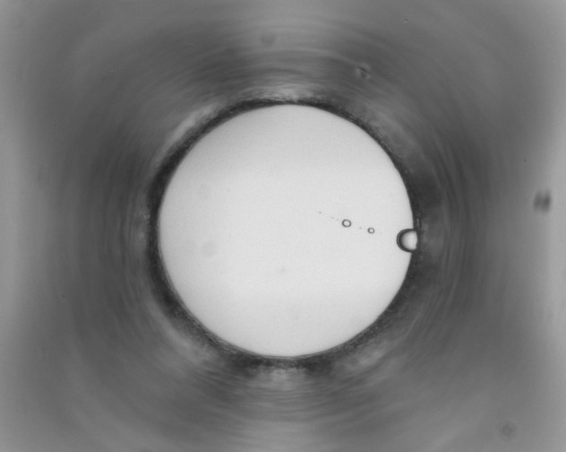 X0000090770304200708172113