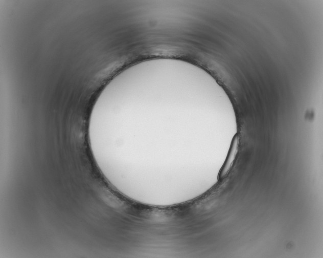 X0000090770305200708172113