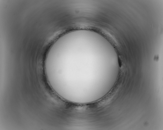 X0000090770306200708172113