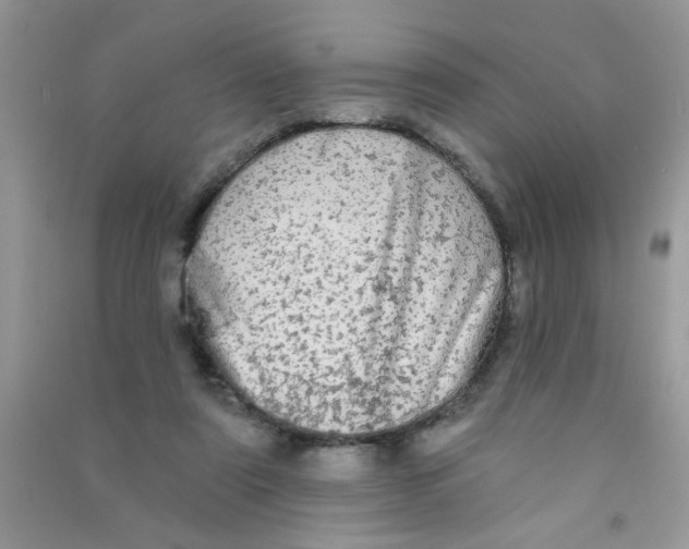 X0000090770307200708172113