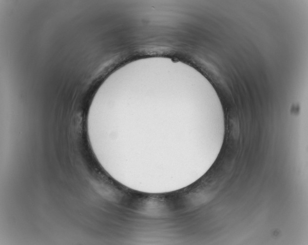 X0000090770308200708172113