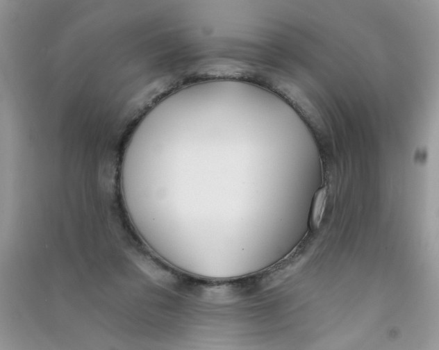 X0000090770309200708172113