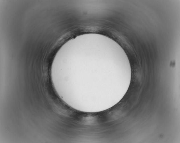 X0000090770312200708172113