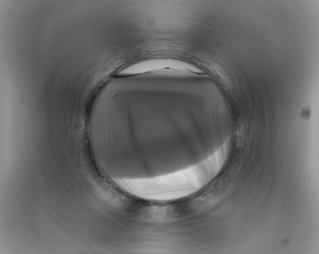 X0000090770314200708172113