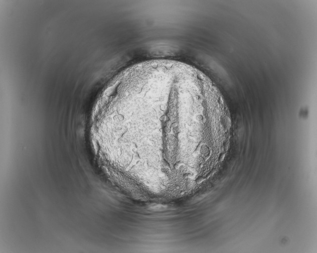 X0000090770315200708172113