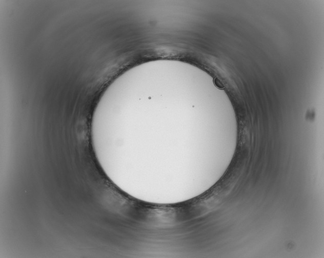 X0000090770317200708172113