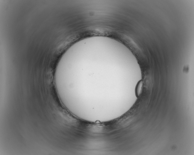 X0000090770318200708172113