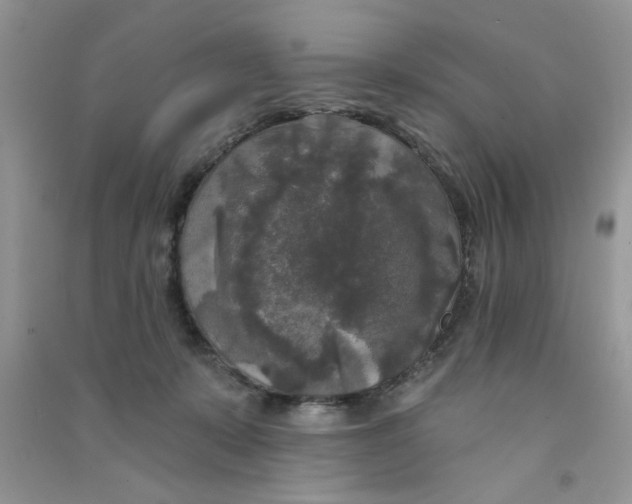 X0000090770319200708172113