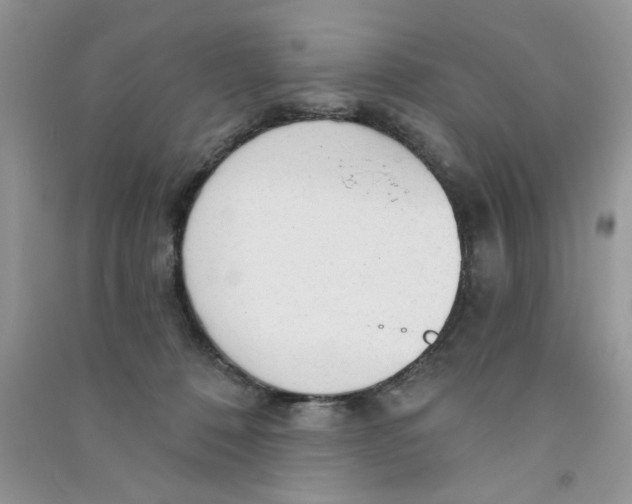 X0000090770320200708172113