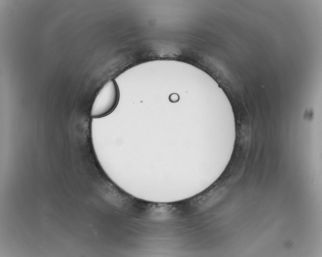 X0000090770321200708172113