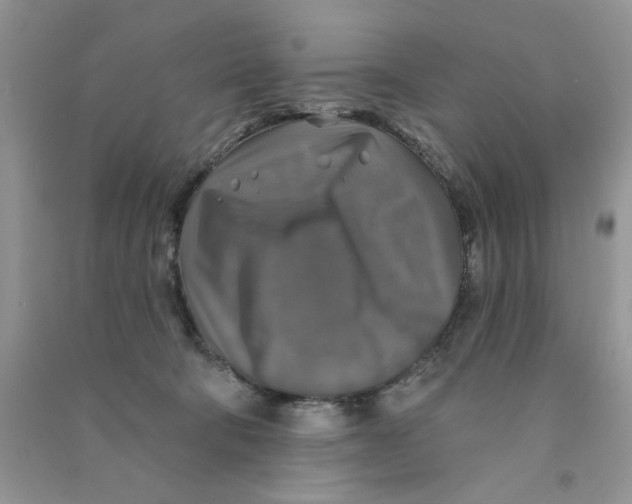 X0000090770322200708172113