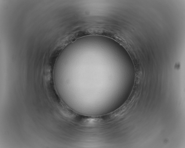 X0000090770323200708172113