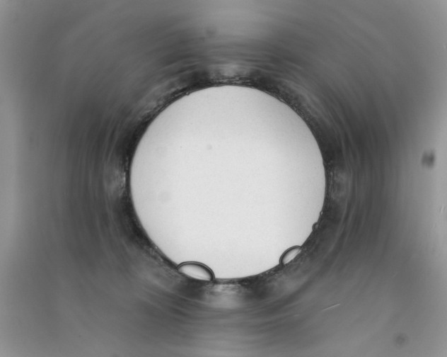 X0000090770324200708172113