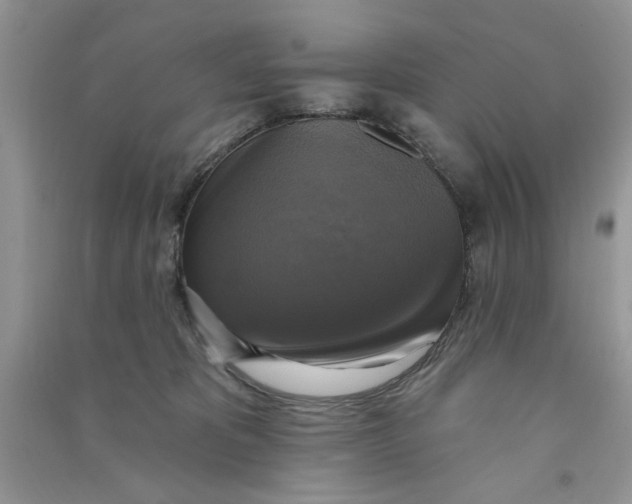 X0000090770325200708172113