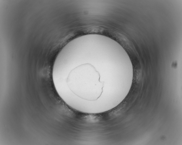 X0000090770326200708172113