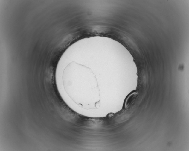 X0000090770328200708172113