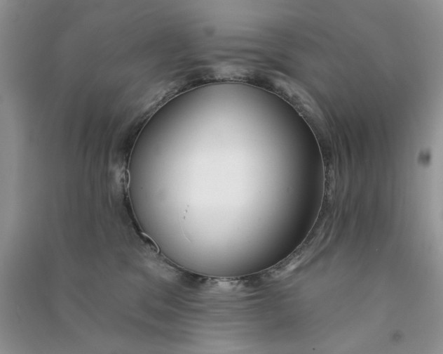 X0000090770329200708172113