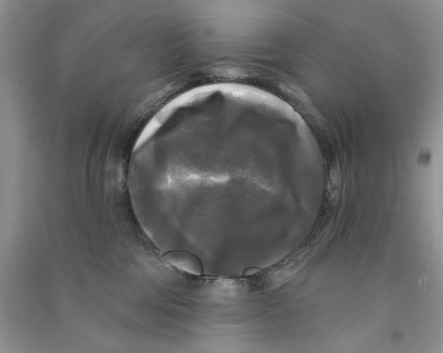X0000090770330200708172113